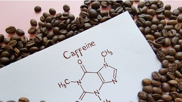 Vai trò của caffeine trong cây cà phê