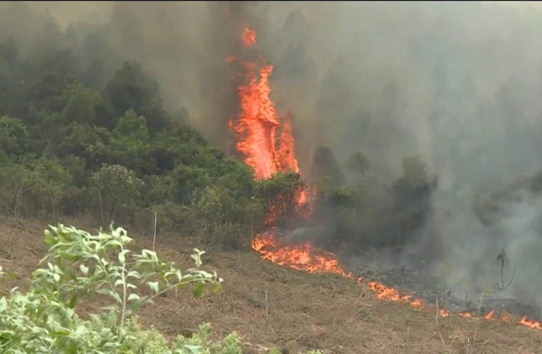 Cháy rừng liên tục: Phải tăng cường các biện pháp cấp bách ngay lập tức
