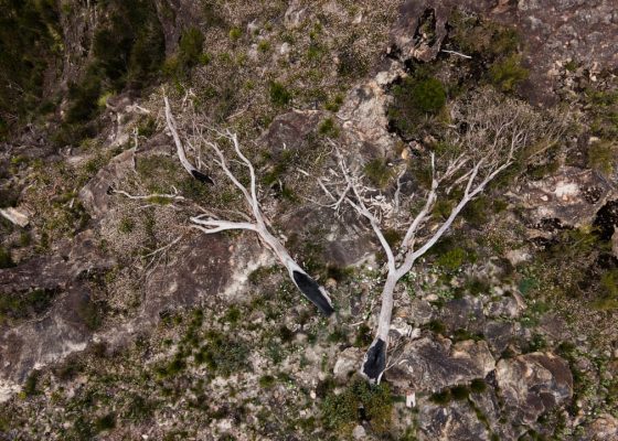 Trận cháy rừng khủng khiếp tại Australia