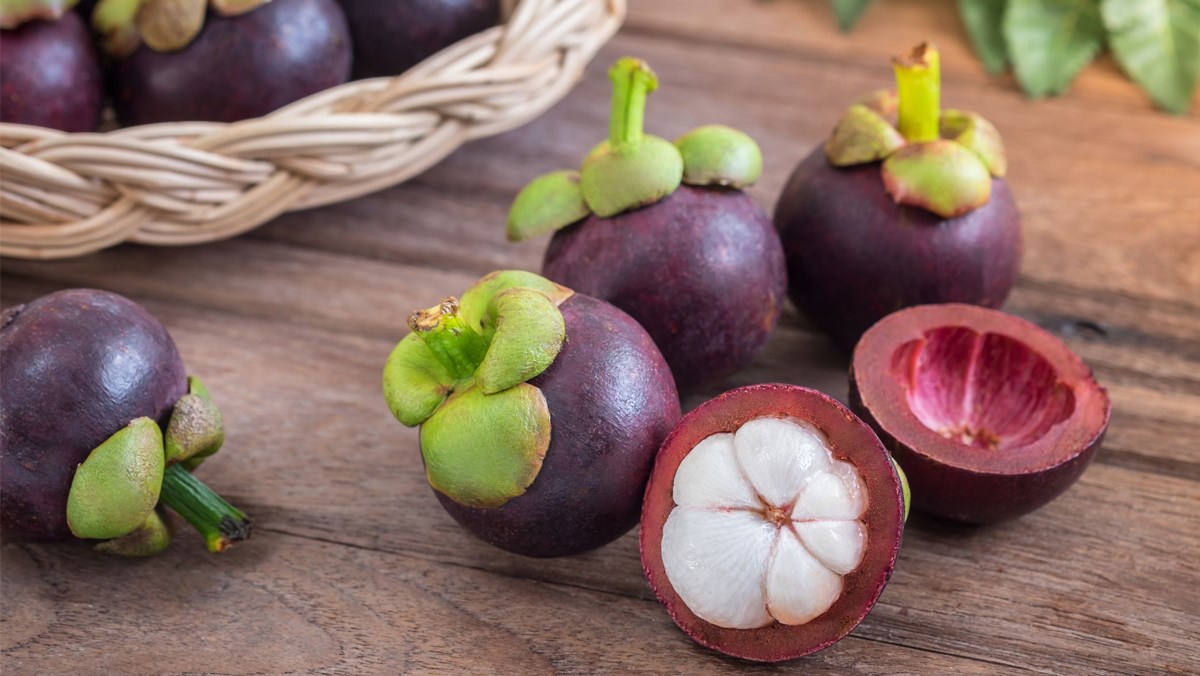 Quả măng cụt - loại trái cây 'thần thánh' tốt cho sức khỏe - Khoa Học